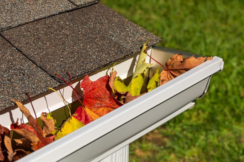 Closeup Of House Rain Gutter Clogged With Colorful Leaves