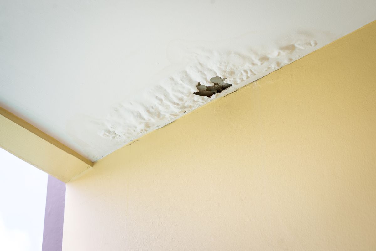 How to Fix a Residential Roof Leak, Damaged Ceiling From Water Leak In Rainy Season