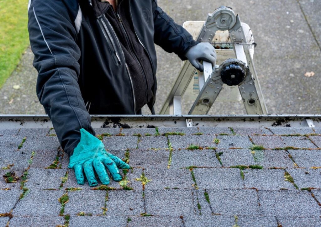 Man Inspecting And Cleaning Dirty Moss Covered Roof